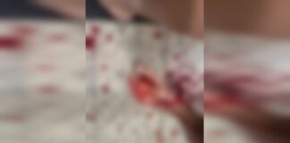 filho,-de-21-anos,-confessa-assassinato-da-propria-mae.-motivo-choca