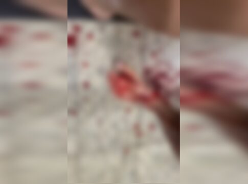 filho,-de-21-anos,-confessa-assassinato-da-propria-mae.-motivo-choca