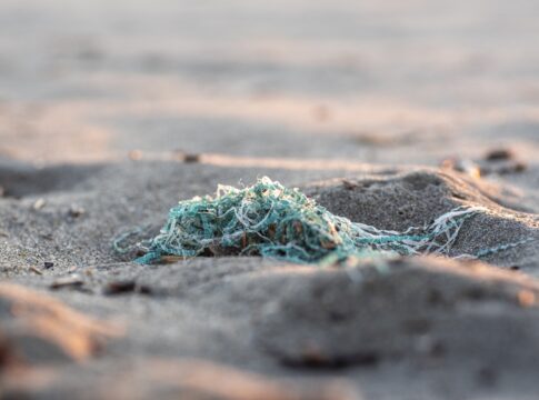 microplasticos-ja-contaminam-toda-a-cadeia-alimentar-do-planeta