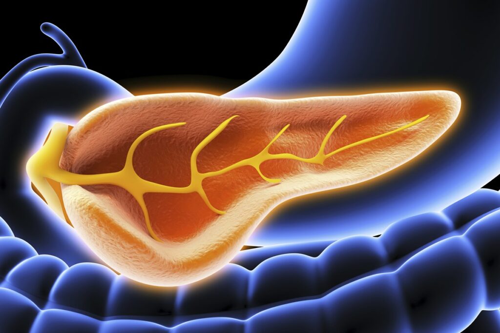 medico-aponta-qual-e-o-pior-inimigo-da-saude-do-pancreas