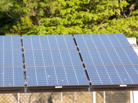 terceiro-leilao-do-eco-invest-brasil-tera-protecao-a-capital-externo