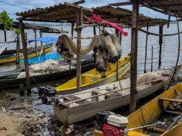 inicio-do-defeso-da-piracema-restringe-pesca-comercial-no-pais