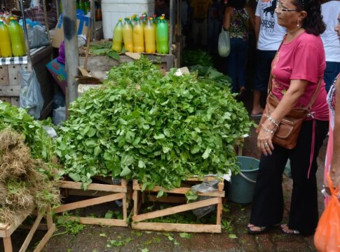 mercado-do-povo-levara-mercados-modulares-a-pequenas-cidades
