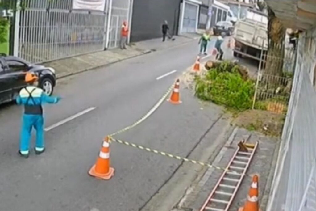 video:-funcionario-caiu-antes-de-ficar-prensado-por-tronco-de-arvore