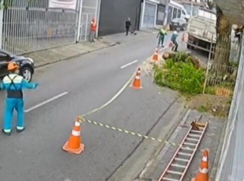 video:-funcionario-caiu-antes-de-ficar-prensado-por-tronco-de-arvore