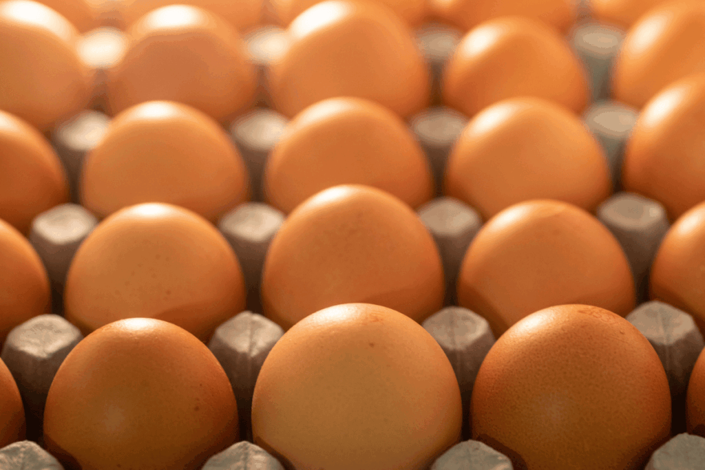 dia-do-ovo:-endocrinologista-revela-beneficios-incriveis-do-alimento
