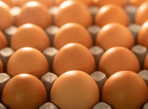 dia-do-ovo:-endocrinologista-revela-beneficios-incriveis-do-alimento