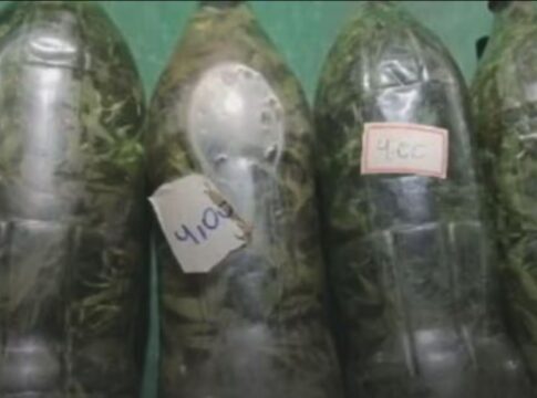 goias:-cachaca-com-maconha-e-apreendida-em-fiscalizacao-contra-metanol