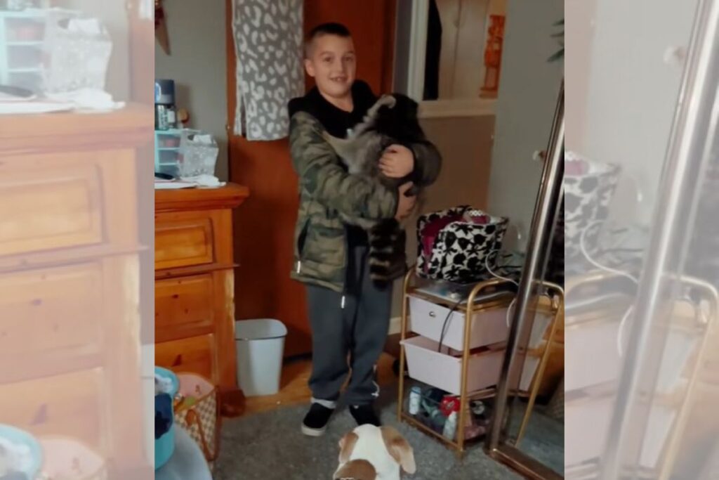 Mãe entra em pânico ao ver filho com animal selvagem em casa. Entenda mae-entra-em-panico-ao-ver-filho-com-animal-selvagem-em-casa.-entenda