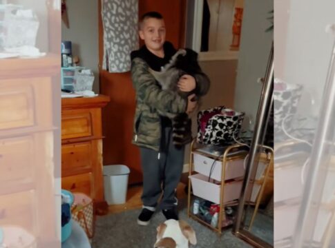 mae-entra-em-panico-ao-ver-filho-com-animal-selvagem-em-casa.-entenda