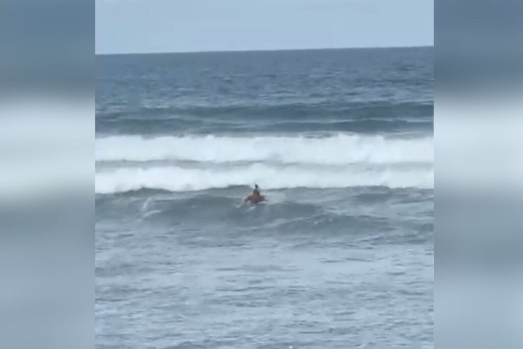 surfista-ajuda-a-salvar-banhistas-de-afogamento-no-litoral-de-sp.-veja