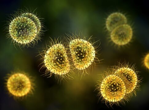 casos-de-meningite-aumentam-no-pais:-saiba-sintomas-e-como-se-prevenir