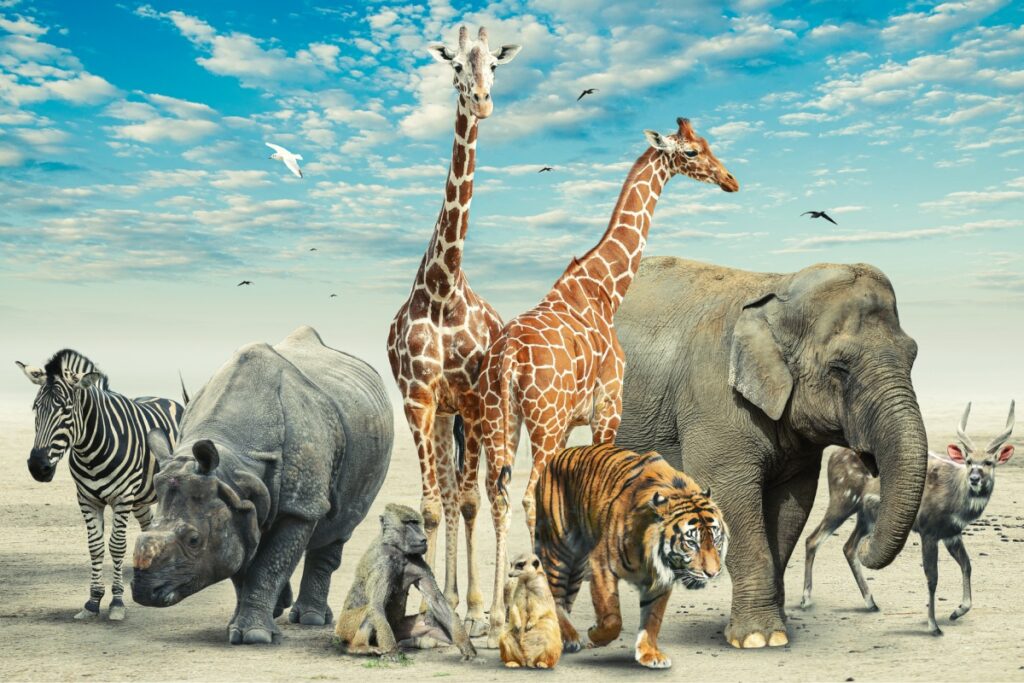 estudo-mostra-que-primeiros-sul-americanos-cacavam-animais-gigantes