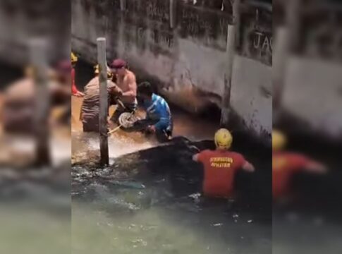 sucuri-gigante-e-encontrada-em-hotel-proximo-de-caldas-novas.-video