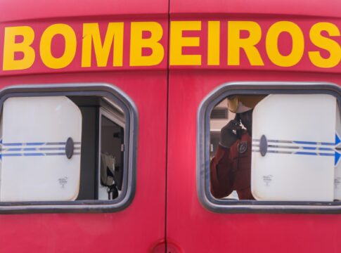 tres-capivaras-sao-encontradas-mortas-em-via-do-df