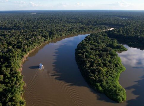 extrativismo-sustentavel-na-amazonia-e-tema-do-caminhos-da-reportagem