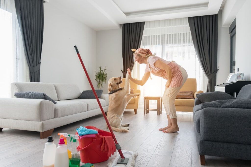 casa-limpa-e-pet-feliz:-como-manter-o-ambiente-seguro-e-sem-odores