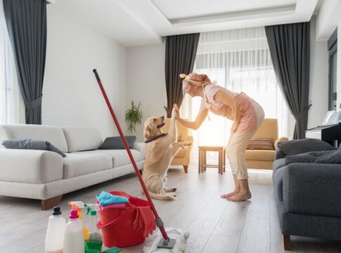 casa-limpa-e-pet-feliz:-como-manter-o-ambiente-seguro-e-sem-odores