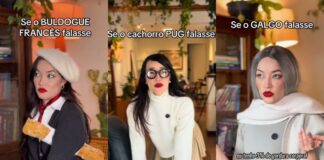 influencer-viraliza-ao-dar-voz-e-alma-a-racas-de-cachorros;-veja-video