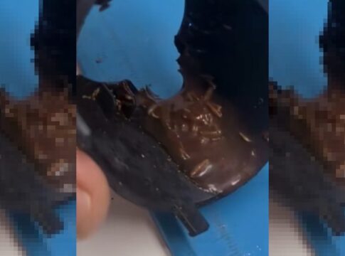 larva-e-barata:-tecnico-choca-ao-mostrar-insetos-em-maquina-de-cafe