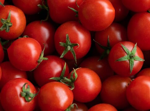 erro-comum-ao-armazenar-o-tomate-pode-alterar-sabor-e-textura-da-fruta