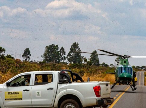 chuva-ajudou-no-combate-a-incendios-na-chapada-dos-veadeiros
