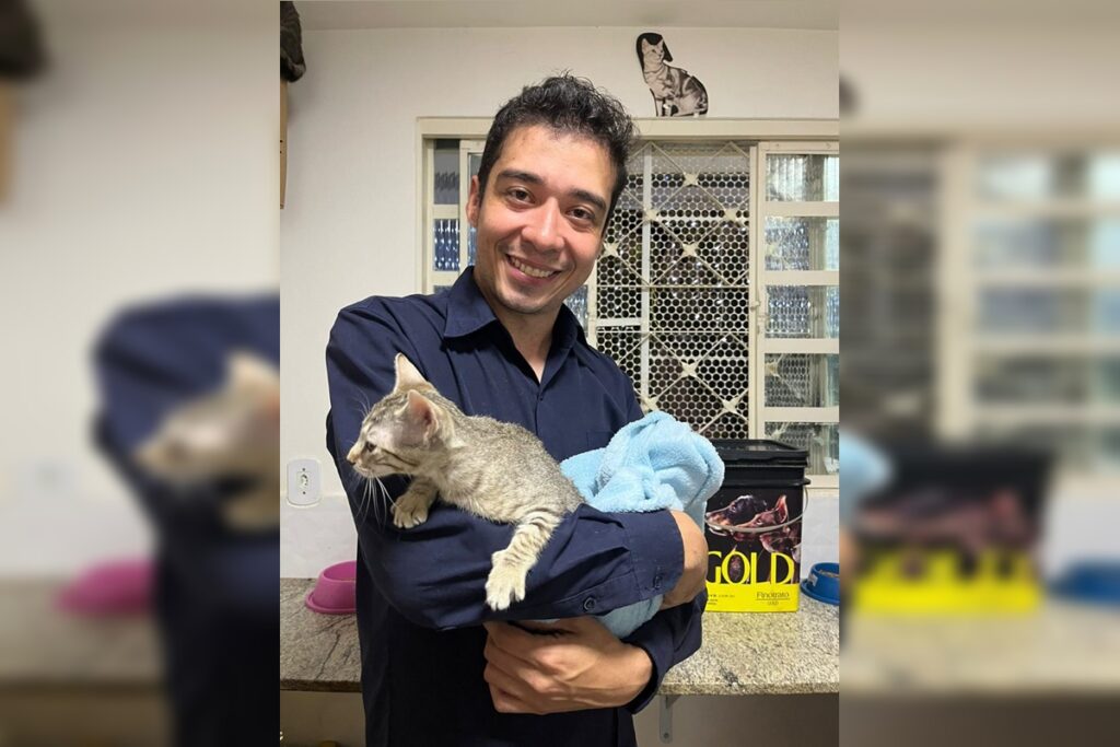tj-nega-pedido-de-soltura-de-psicologo-que-torturou-e-matou-20-gatos