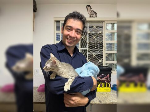 tj-nega-pedido-de-soltura-de-psicologo-que-torturou-e-matou-20-gatos