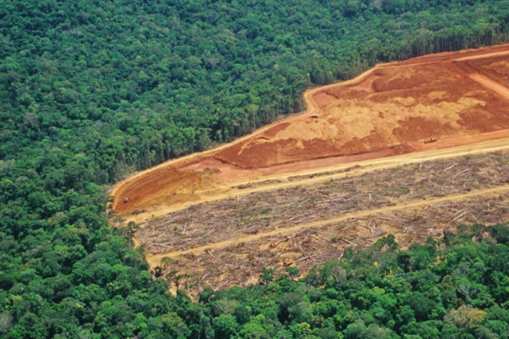 ia-antecipa-zonas-com-maior-risco-de-desmatamento-na-amazonia-legal