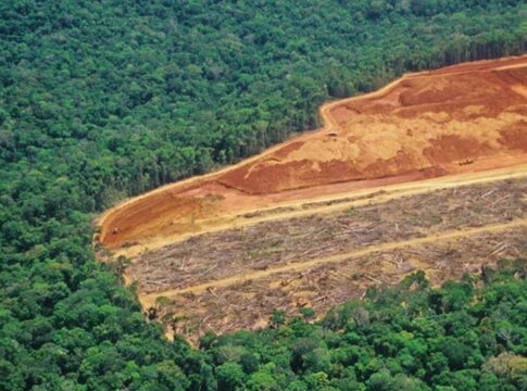 ia-antecipa-zonas-com-maior-risco-de-desmatamento-na-amazonia-legal