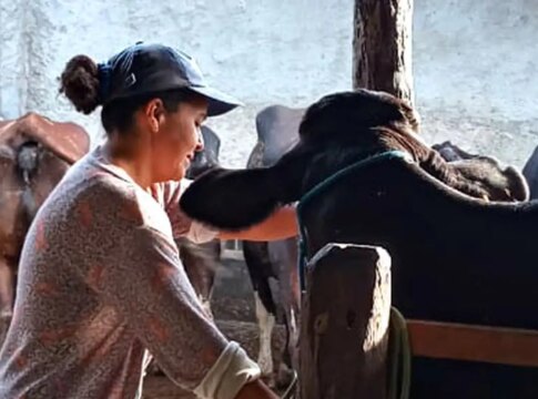 mulheres-rurais-enfrentam-informalidade-e-desigualdade-no-campo