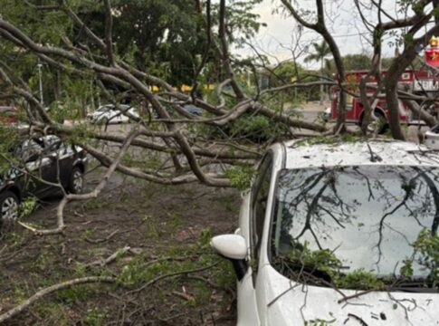 vendaval-derruba-arvore-em-cima-de-quatro-carros-na-asa-norte