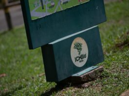 ingresso-do-parque-nacional-ficara-mais-caro;-veja-o-novo-valor