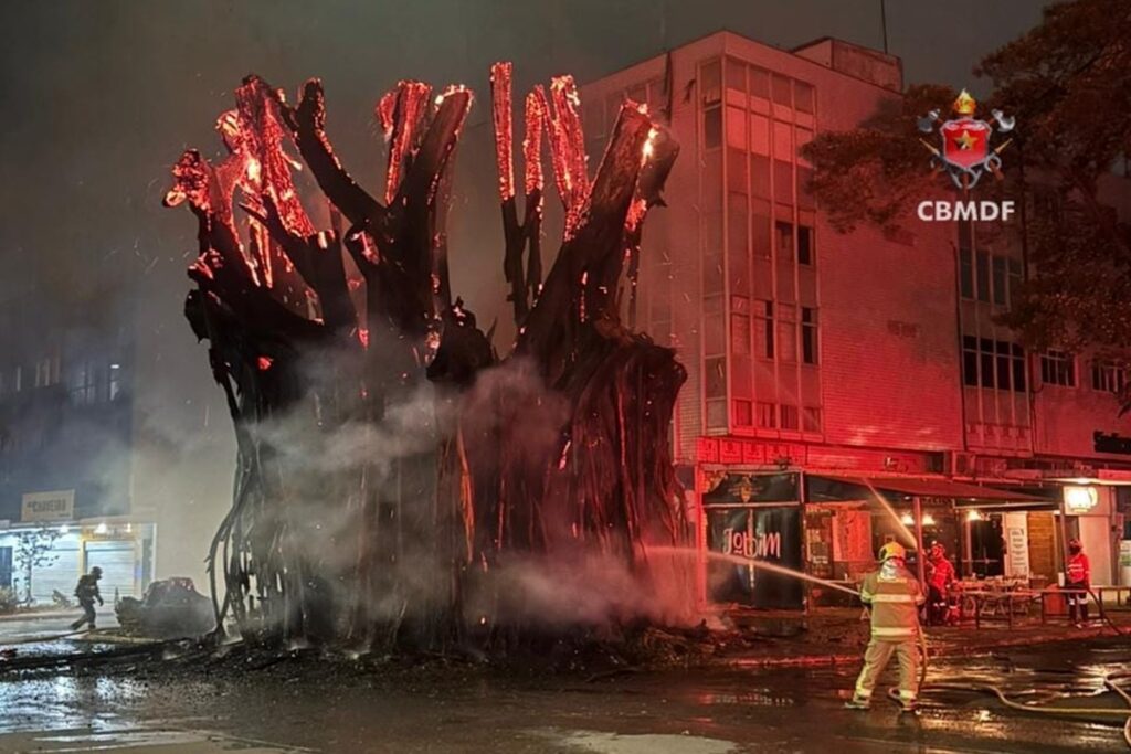 advogado-colocou-fogo-em-gameleira-de-40-anos-para-“entreter-o-filho”