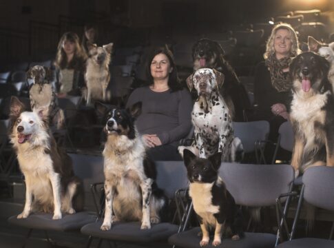 10-filmes-de-cachorro-para-maratonar-e-“chorar-litros”