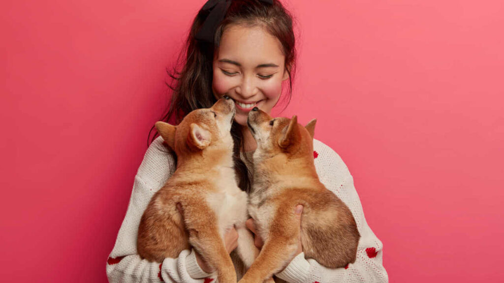 zodiaco-dos-pets:-a-personalidade-dos-bichinhos-de-cada-signo