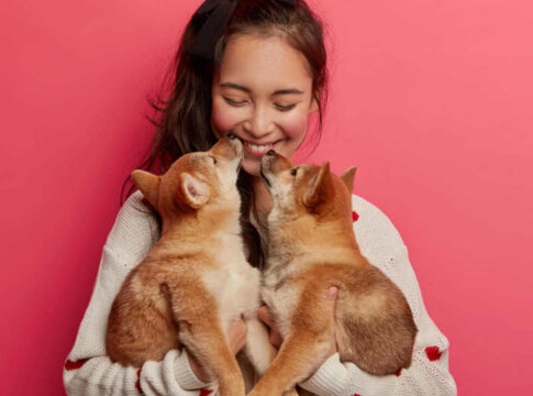 zodiaco-dos-pets:-a-personalidade-dos-bichinhos-de-cada-signo