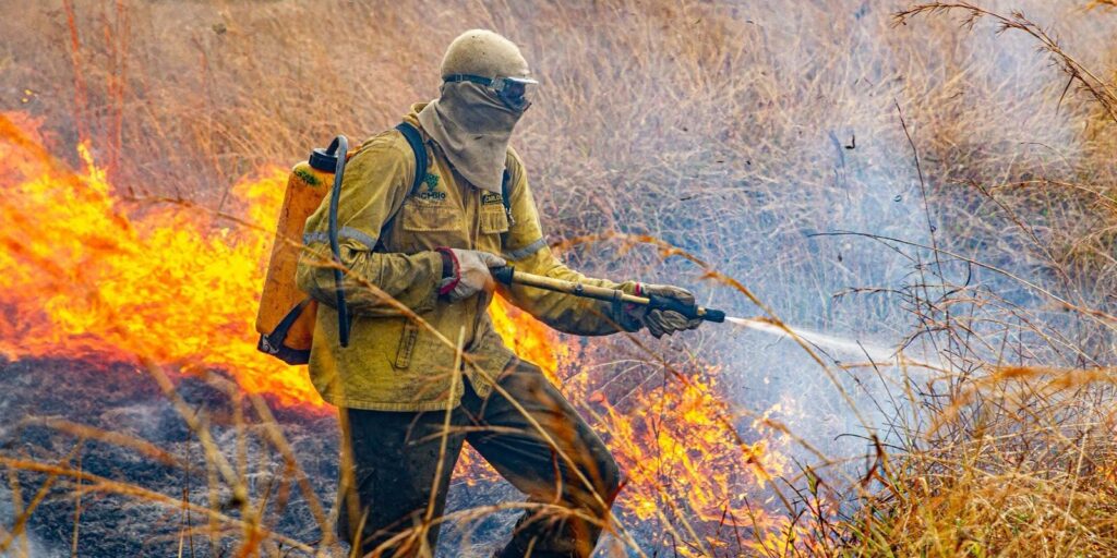 raios-provocam-novo-foco-de-incendio-na-chapada-dos-veadeiros