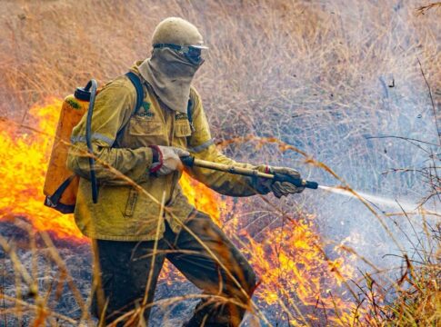 raios-provocam-novo-foco-de-incendio-na-chapada-dos-veadeiros