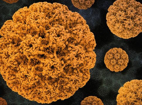 estudo-mostra-que-acidez-do-corpo-impulsiona-crescimento-do-cancer