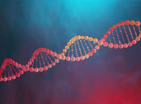 gene-causador-da-obesidade-pode-proteger-o-coracao,-aponta-estudo