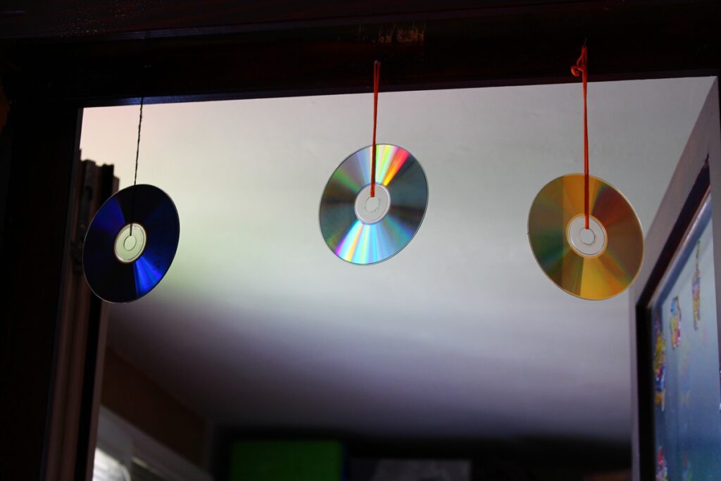 cds-podem-proteger-sua-casa-de-insetos-e-aves;-entenda-como