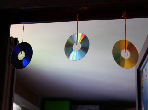 cds-podem-proteger-sua-casa-de-insetos-e-aves;-entenda-como