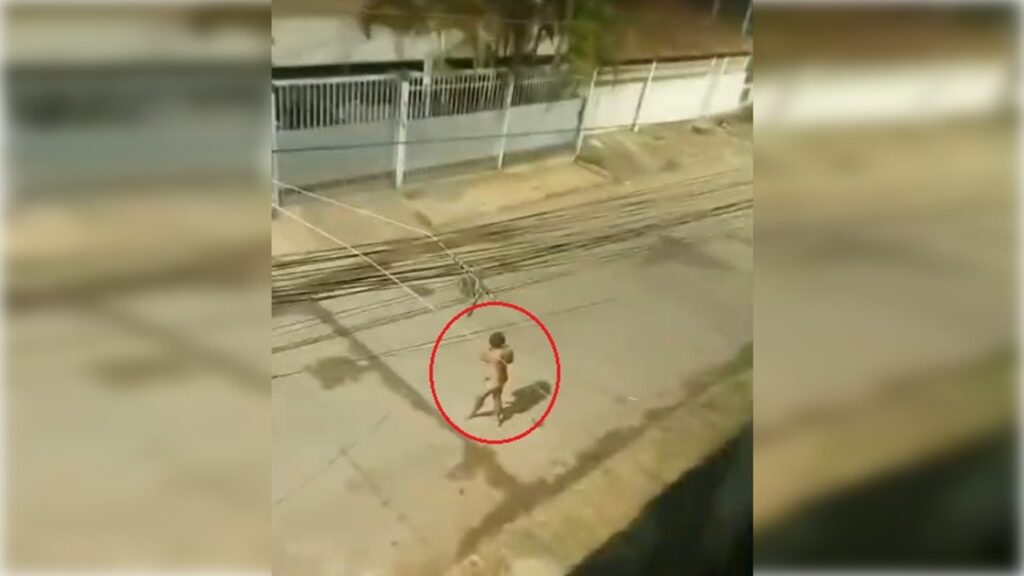 video:-“peladao-misterioso”-aparece-nas-madrugadas-e-assusta-moradores
