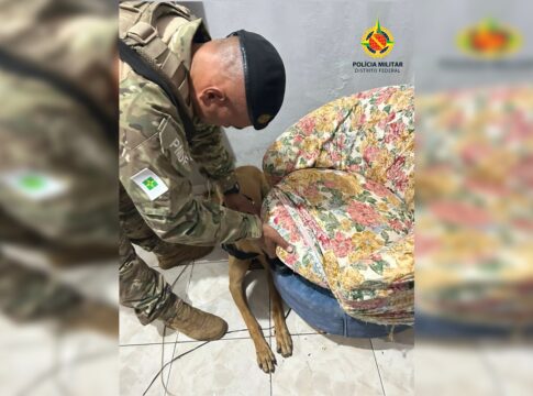 mulher-e-presa-com-porcoes-de-maconha-escondidas-em-poltrona-no-df