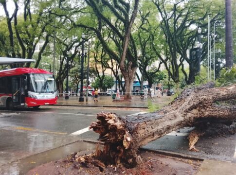 chuva-e-rajadas-de-vento-deixam-141-mil-imoveis-sem-luz-na-grande-sp