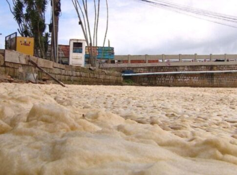 espuma-cobre-lagoa-em-florianopolis-e-preocupa-moradores-da-regiao