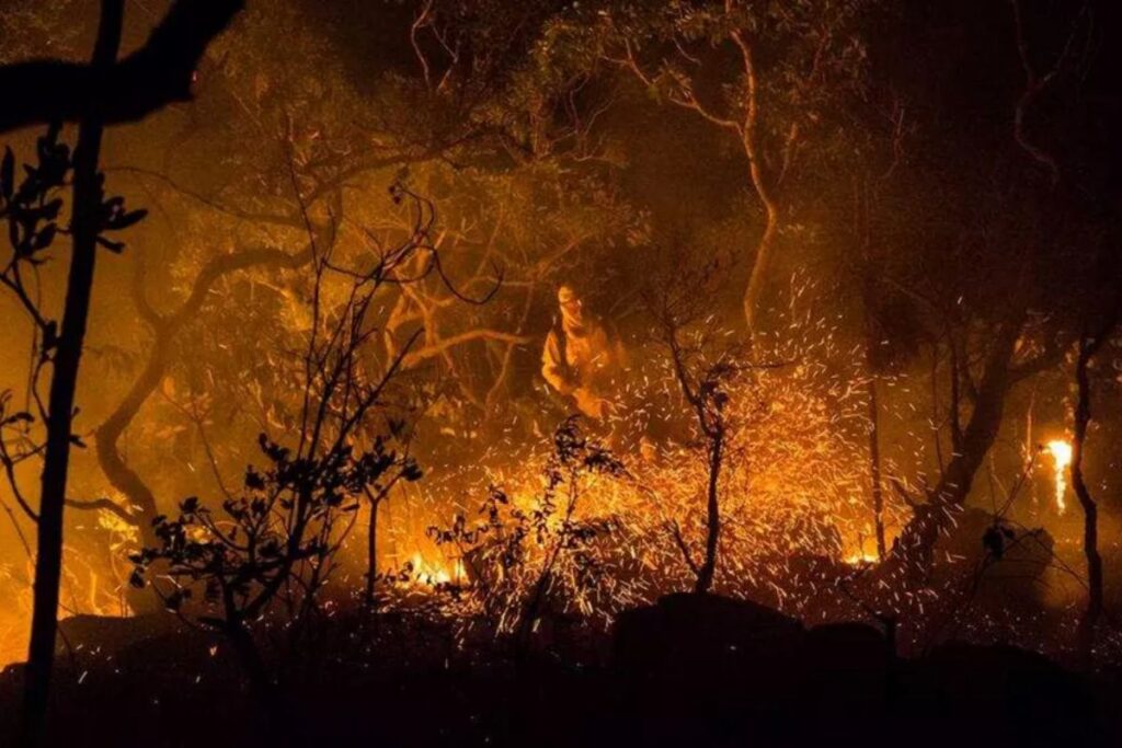 apos-chuva,-combate-a-incendio-na-chapada-dos-veadeiros-chega-ao-fim