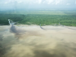 foz-do-amazonas:-ministerio-do-meio-ambiente-defende-rigor-tecnico