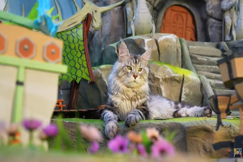 antes-de-cidade-em-miniatura,-tutor-tambem-construiu-ilha-para-gatos